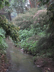 Victoria Park