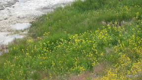IMG_4173.jpg