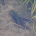 P1120706