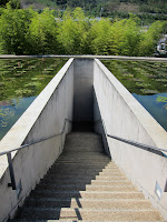 IMG_2628.JPG