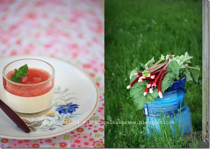 Panna cotta z rabarbarem3 Panna cotta z rabarbarem3