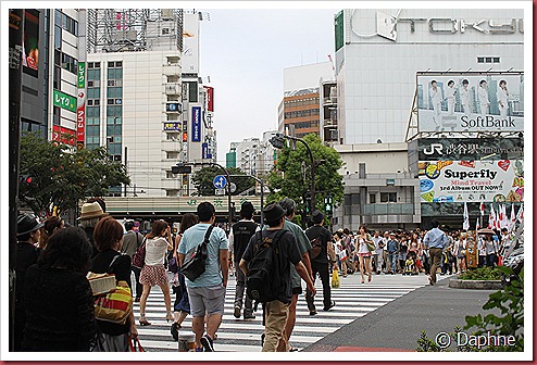 IMG_2762 IMG_2762