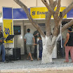 superleite2011_dia1607_49.JPG