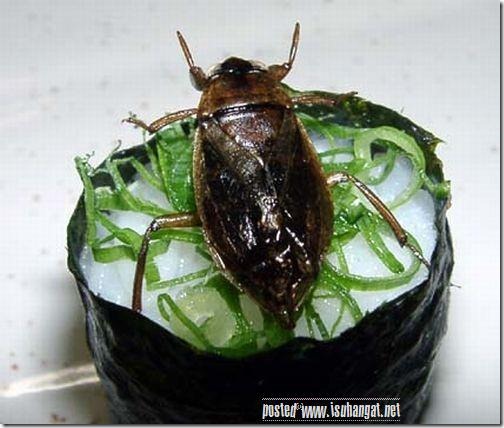 japanbizarrefoodstrange (1) japanbizarrefoodstrange (1)
