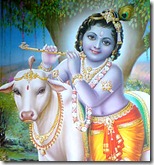 Lord Krishna with cow