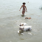 100_6009.JPG
