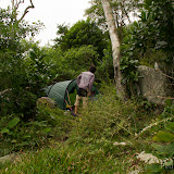 BombinhasAbril2012