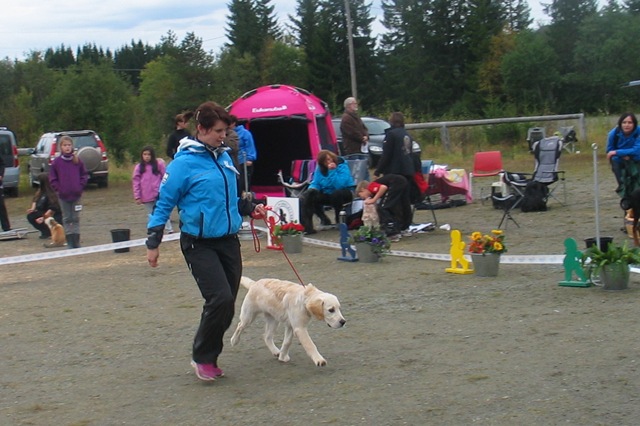[IMG_5305%255B2%255D.jpg]