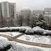 Parc de Belleville