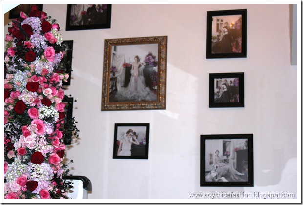 IMG_1785 IMG_1785