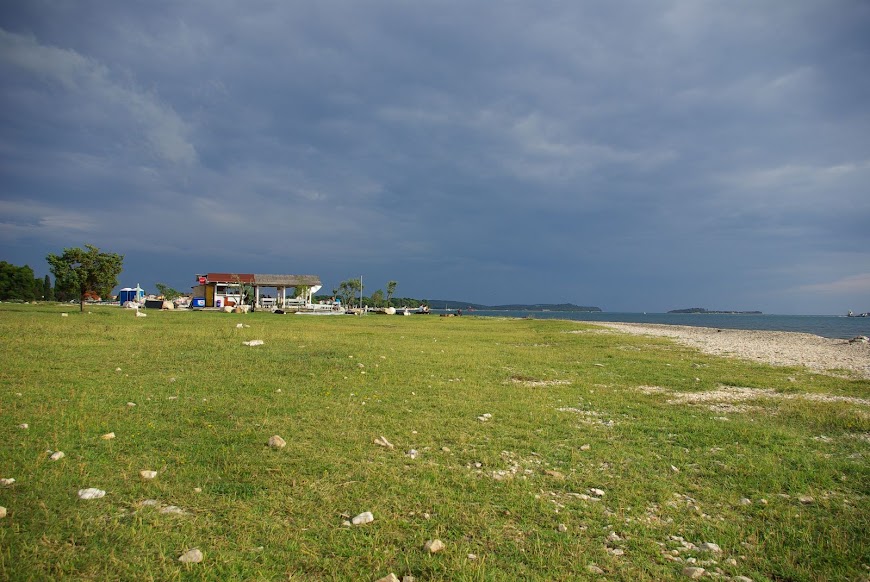 IMGP4408.JPG