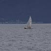 PICT0055.JPG