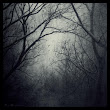 Reminiscence