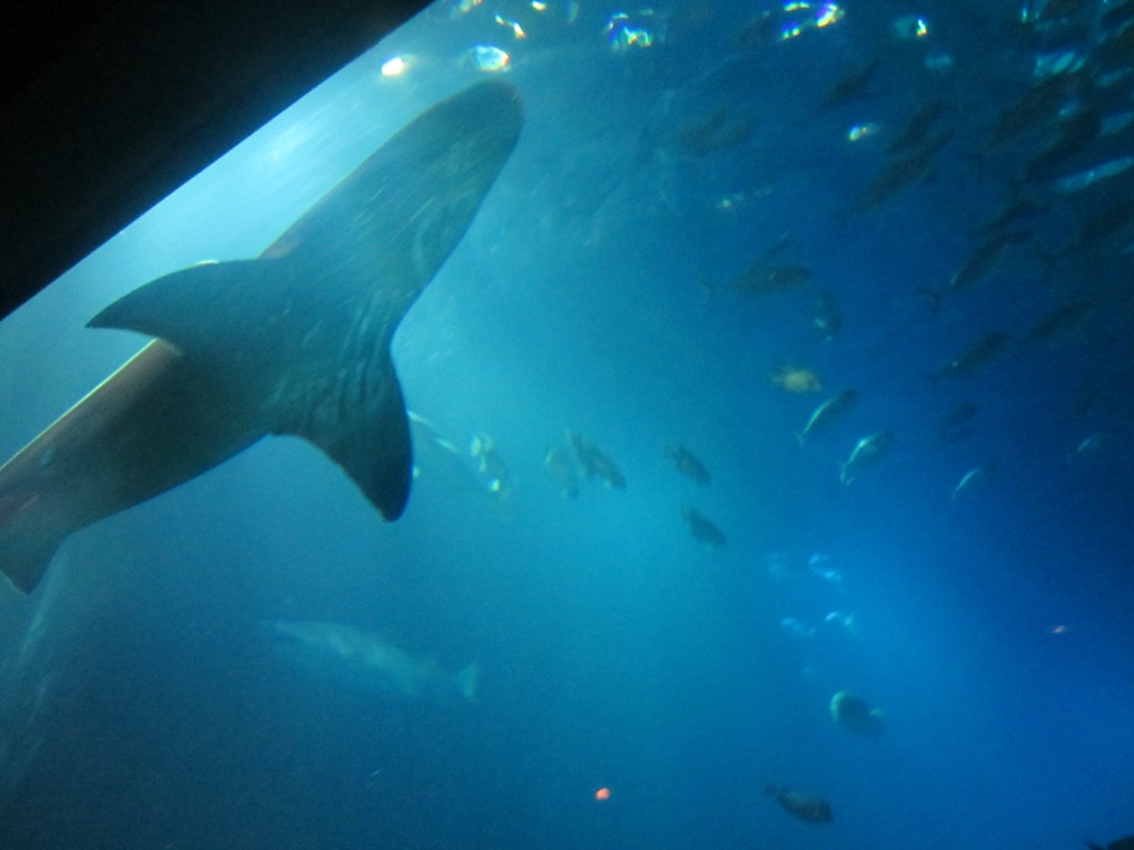 [IMG_0565%255B7%255D.jpg]
