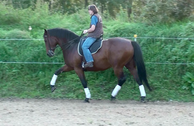 [cera-trab5%255B4%255D.jpg]