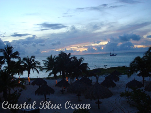[Aruba%2520N947%255B40%255D.jpg]