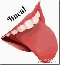 bucal