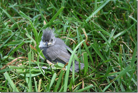 img_7419 img_7419