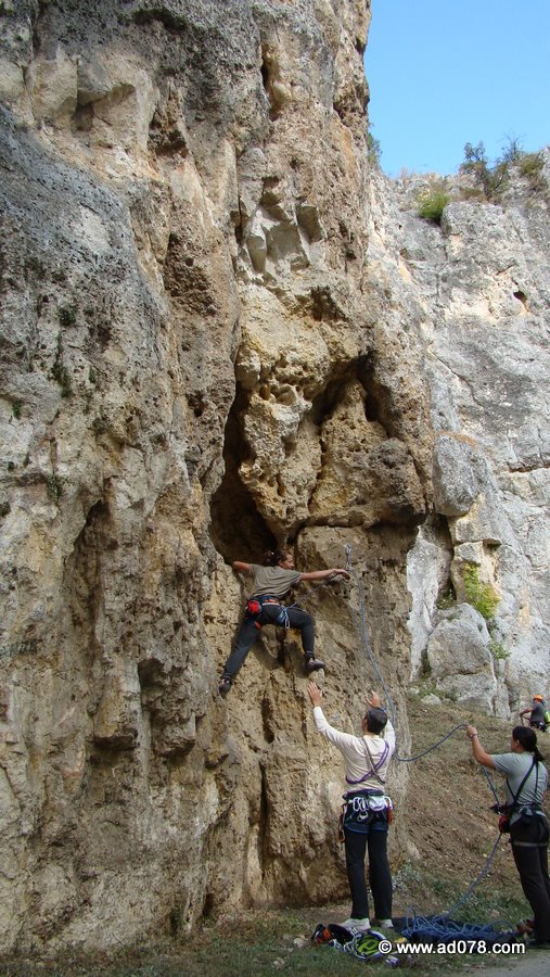 basarbovo-28.jpg