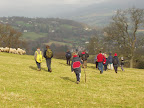 Strolling over the hills