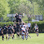 k-IMG_3452.JPG