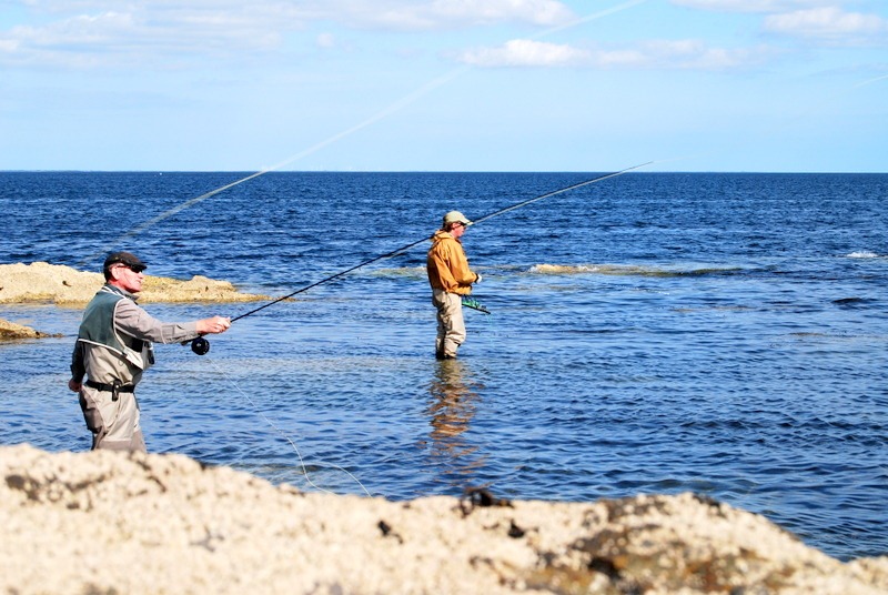 [1-DSC_0075%255B4%255D.jpg]