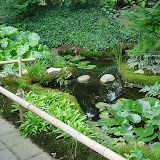 japanse tuin hellendoorn