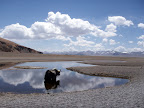PICT0992.JPG