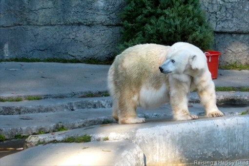 [Jan7_Zoo7%255B3%255D.jpg]