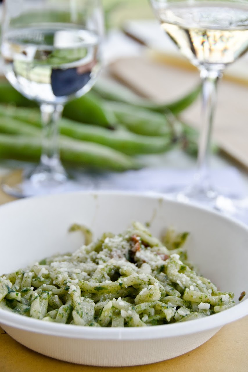 Pasta with stinging nettle pesto Terre Margaritelli