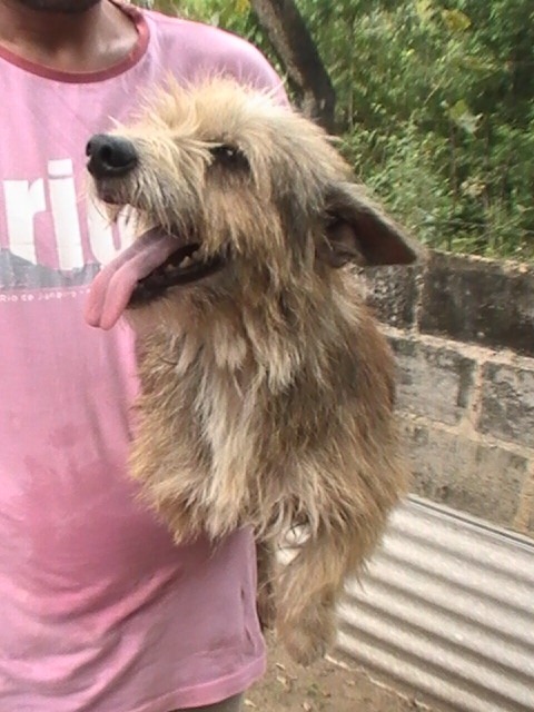 [Billie%2520Nelson2%255B5%255D.jpg]