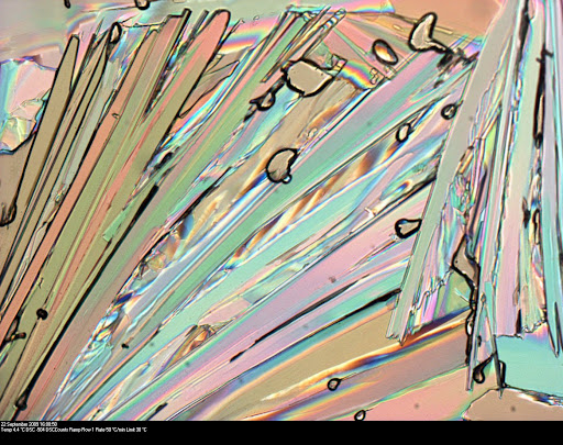 Liquid Crystal