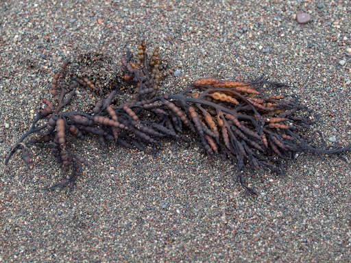 P3259093