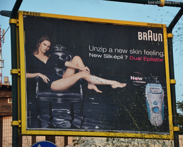 [braun3.jpg]