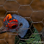 IMG_4563.jpg