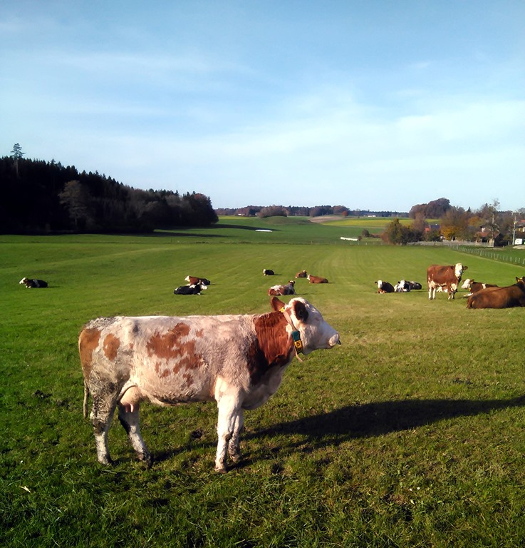 [IMG_20141112_135315%255B5%255D.jpg]