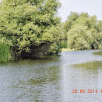 DSCN8213.JPG