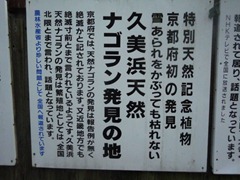 DSC05334 DSC05334