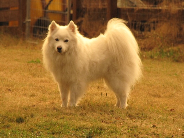 [IMG_1657%255B4%255D.jpg]