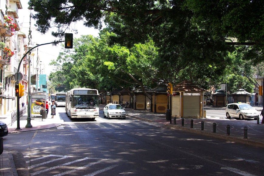 IMGP2564.JPG