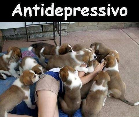 [antidepressivo%255B4%255D.jpg]