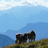 2010-07-31 Cavalese