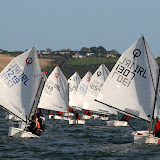 Final Cobber League Race(Paul Keal)