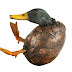 Object: 21730 - Wrestling and being above - 19 cm - € 2300.=