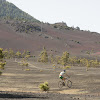 DSC00114.JPG