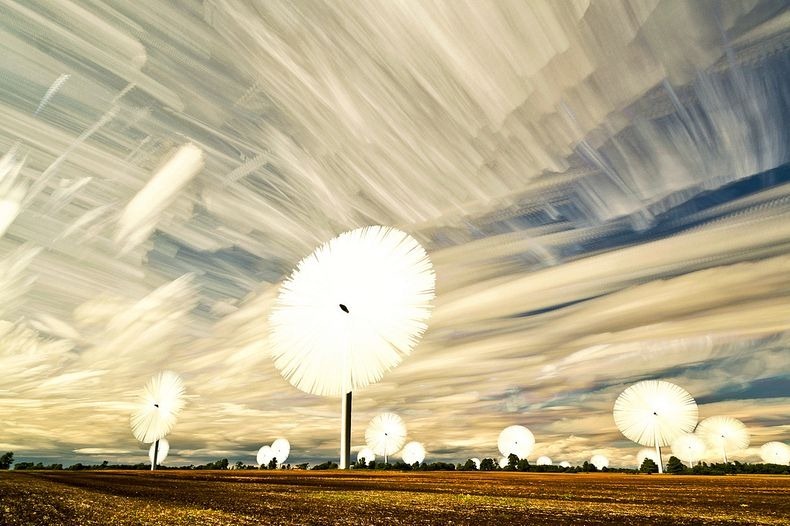 matt-molloy-7 matt-molloy-7