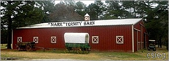 Barn  (1)