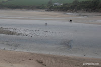 IMG_9287.JPG Photo