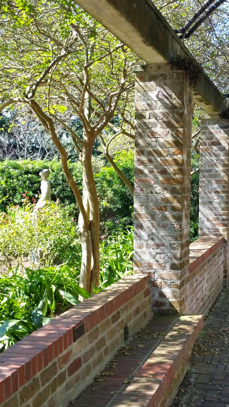 Snapshots Of Laughter And Memories New Orleans Botanical Garden