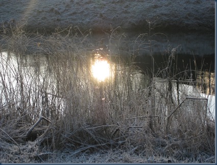januarmorgen 012